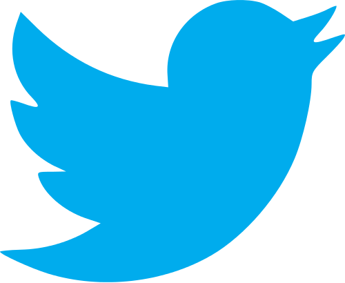 Twitter_bird_logo_2012.jpg