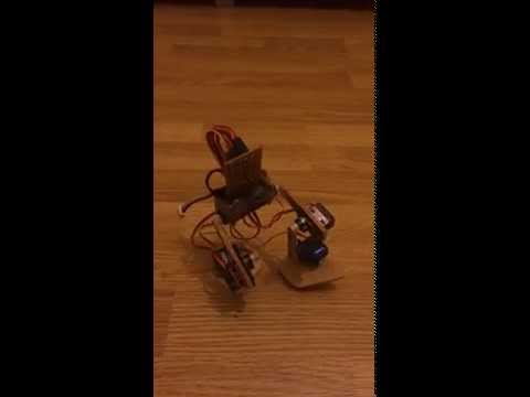 Two-footed walking robot