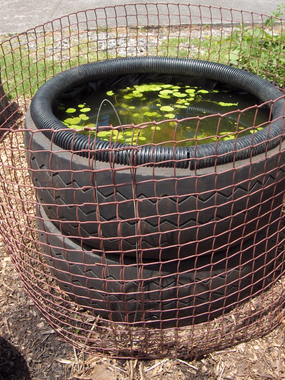 Tyre pond surround 080126 002.jpg