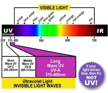 UVLightSpect.jpg