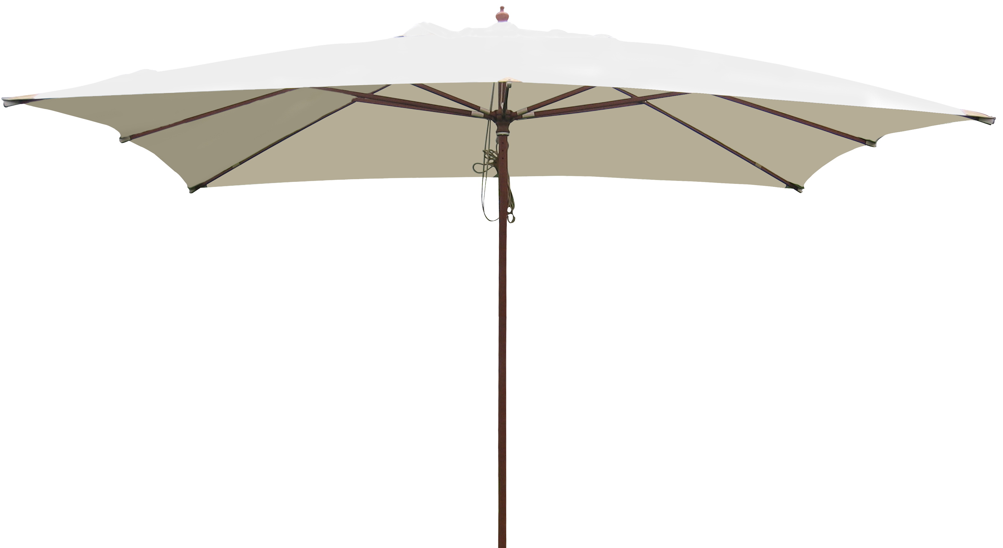Umbrella.jpg