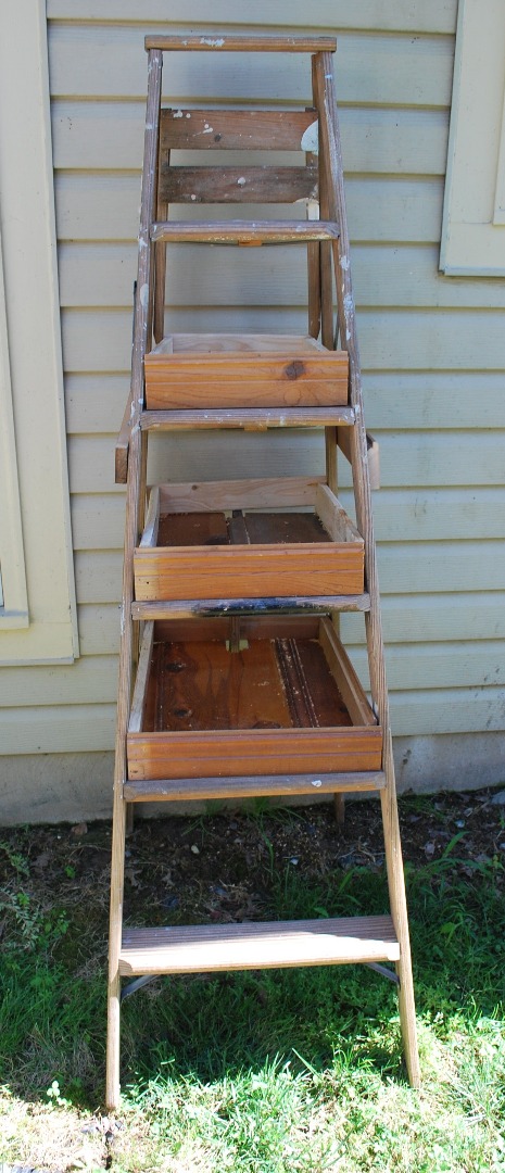 Unpainted ladder.jpg