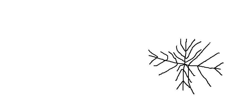 Untitled.png