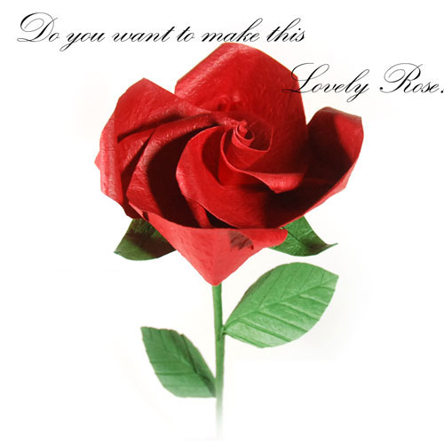 Valentine-Lovely-Rose.jpg