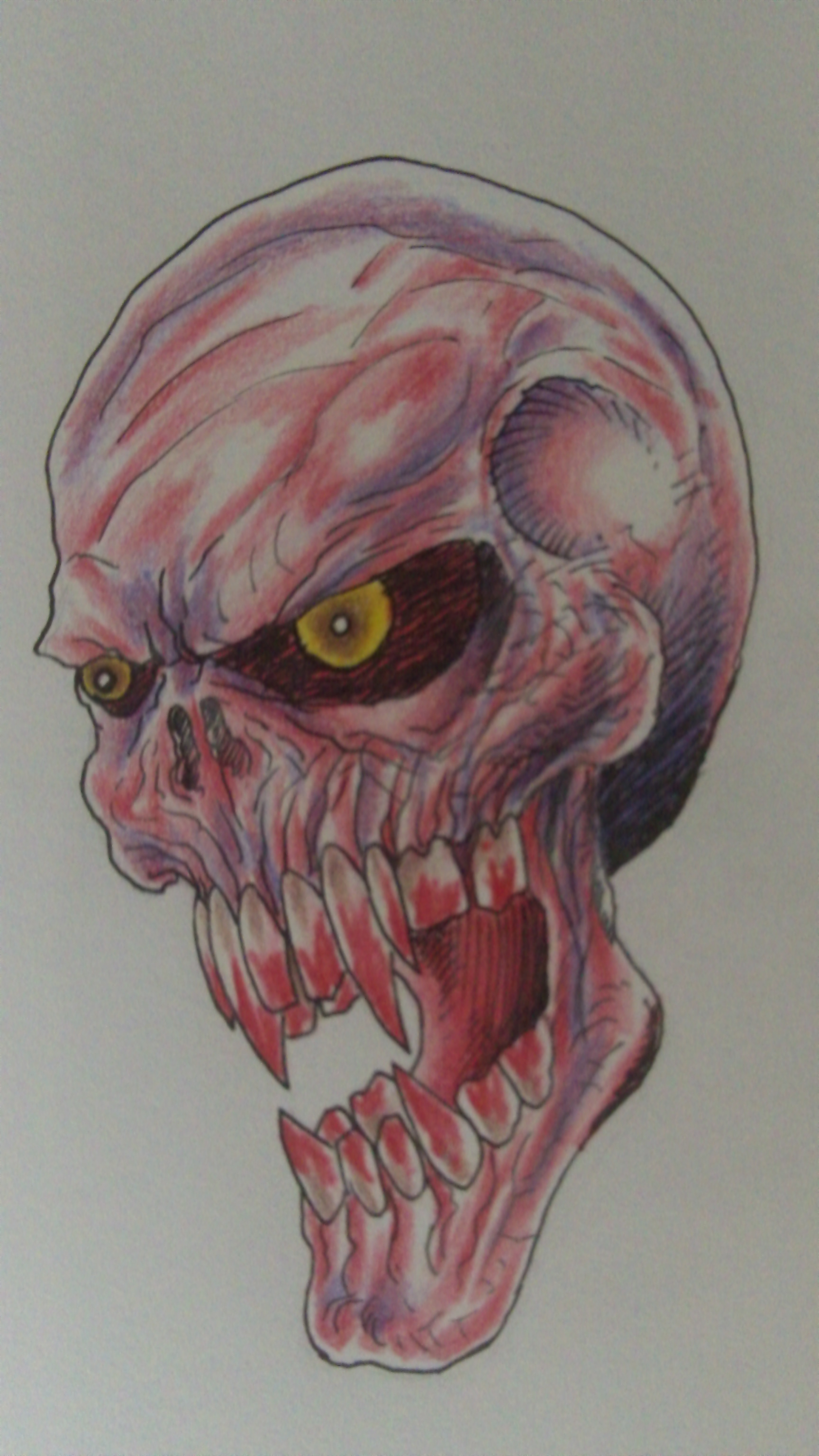 Vampire Skull Art.JPG