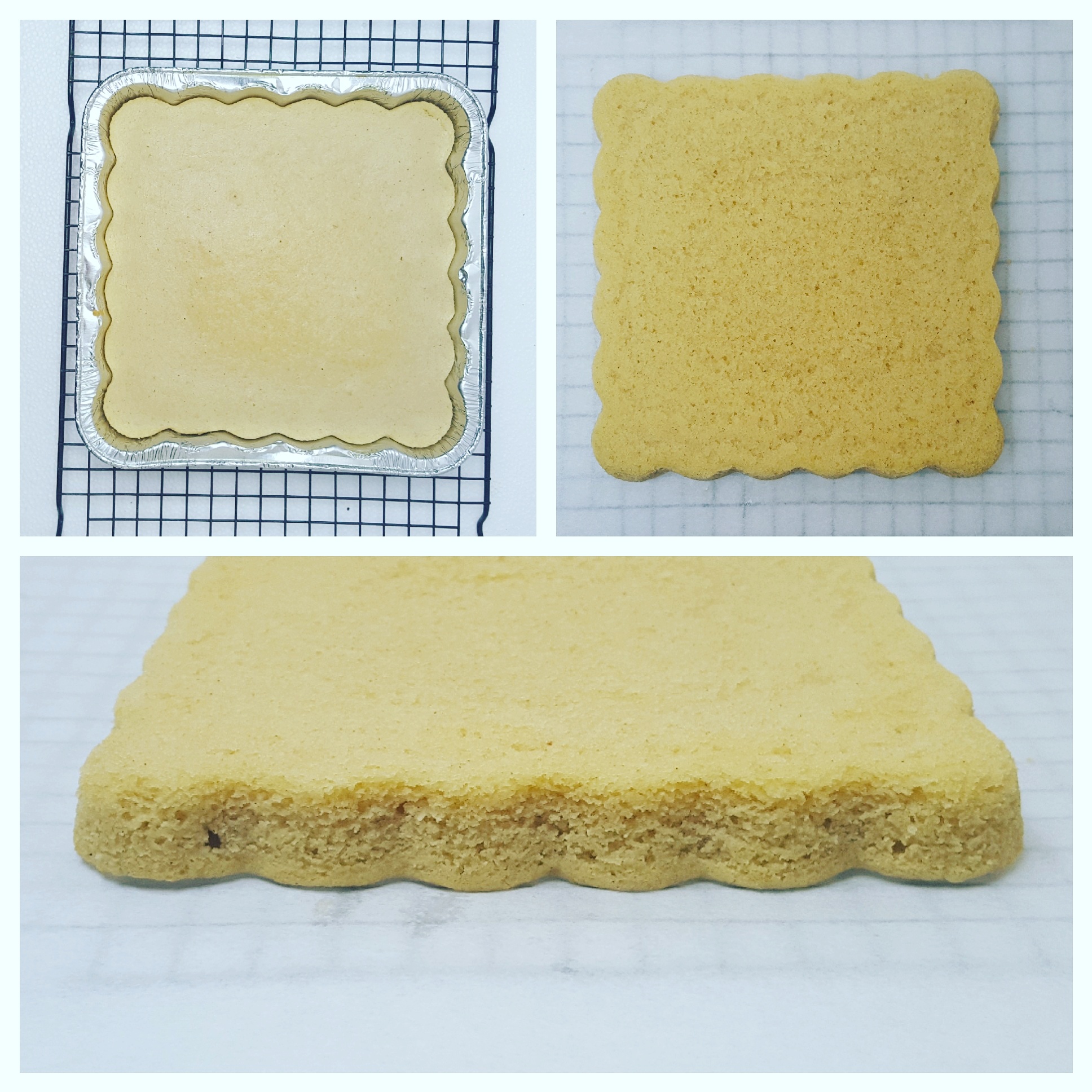 Vegan Tofu Tiramisu Step 9.jpg
