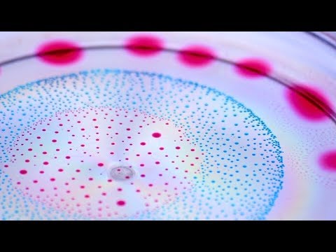 Visually stunning display of water &amp;amp; alcohol mixture | Marangoni Bursting