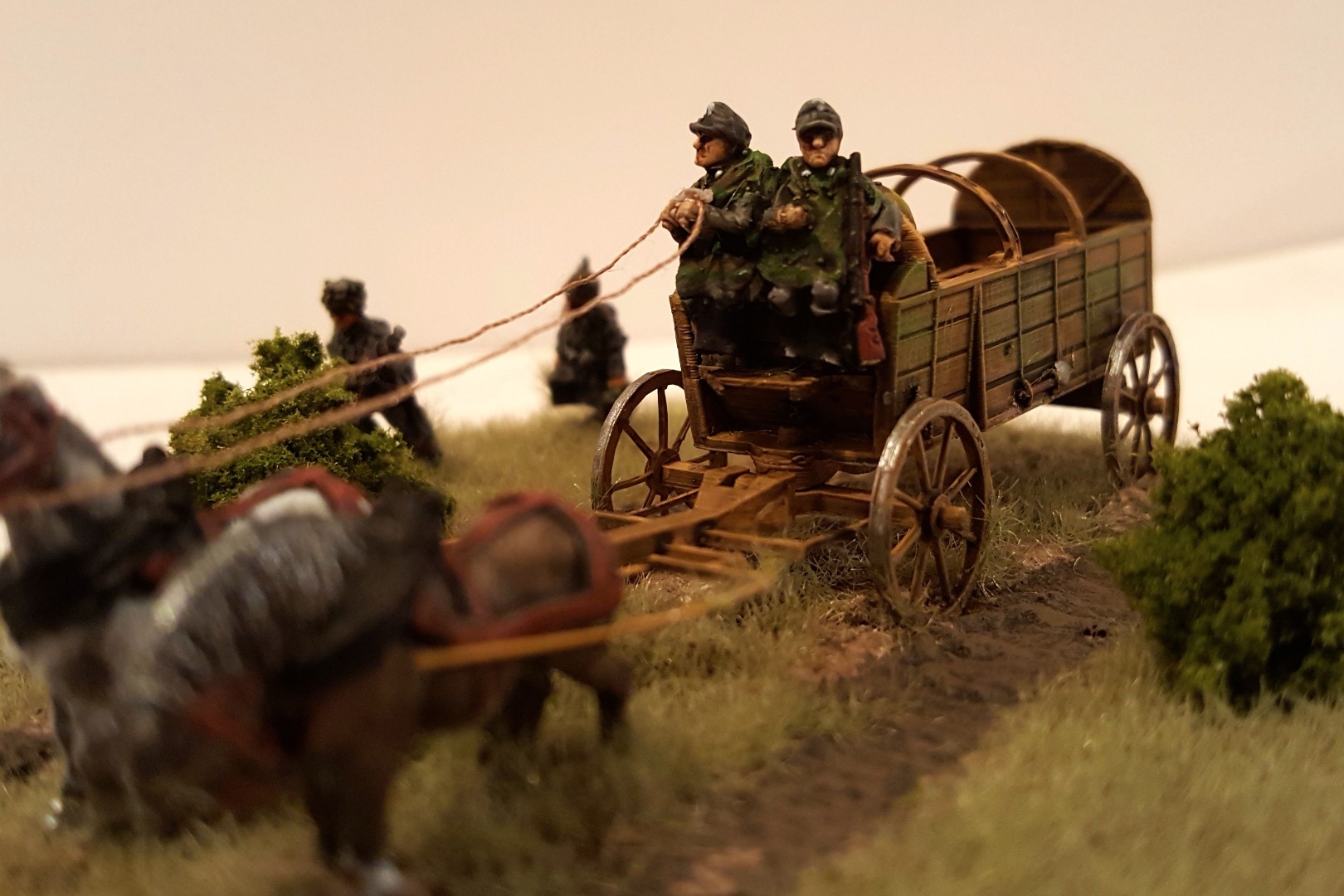 WagonDiorama1.jpg