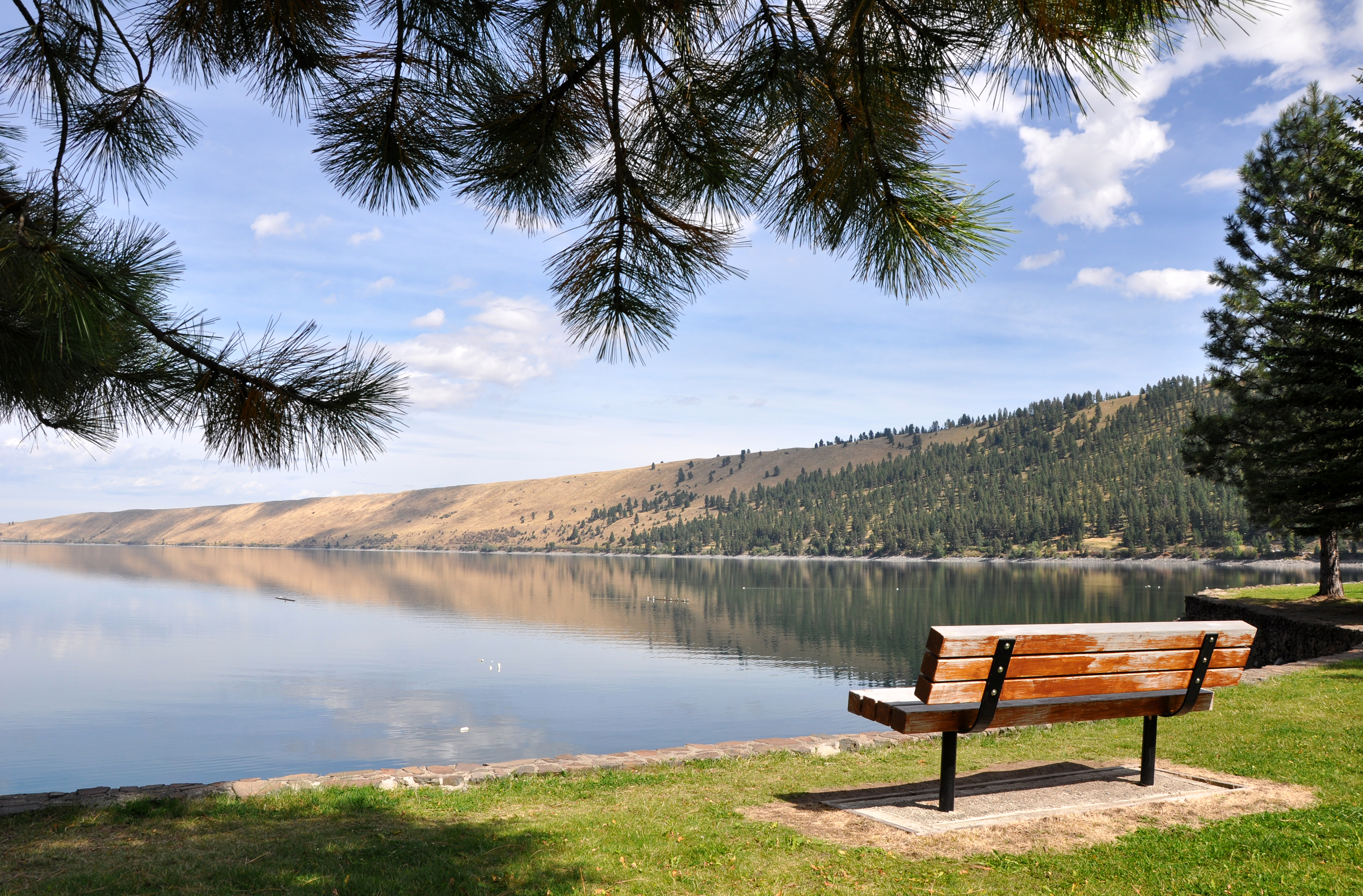 Wallowa_Lake_State_Park_bench.jpg