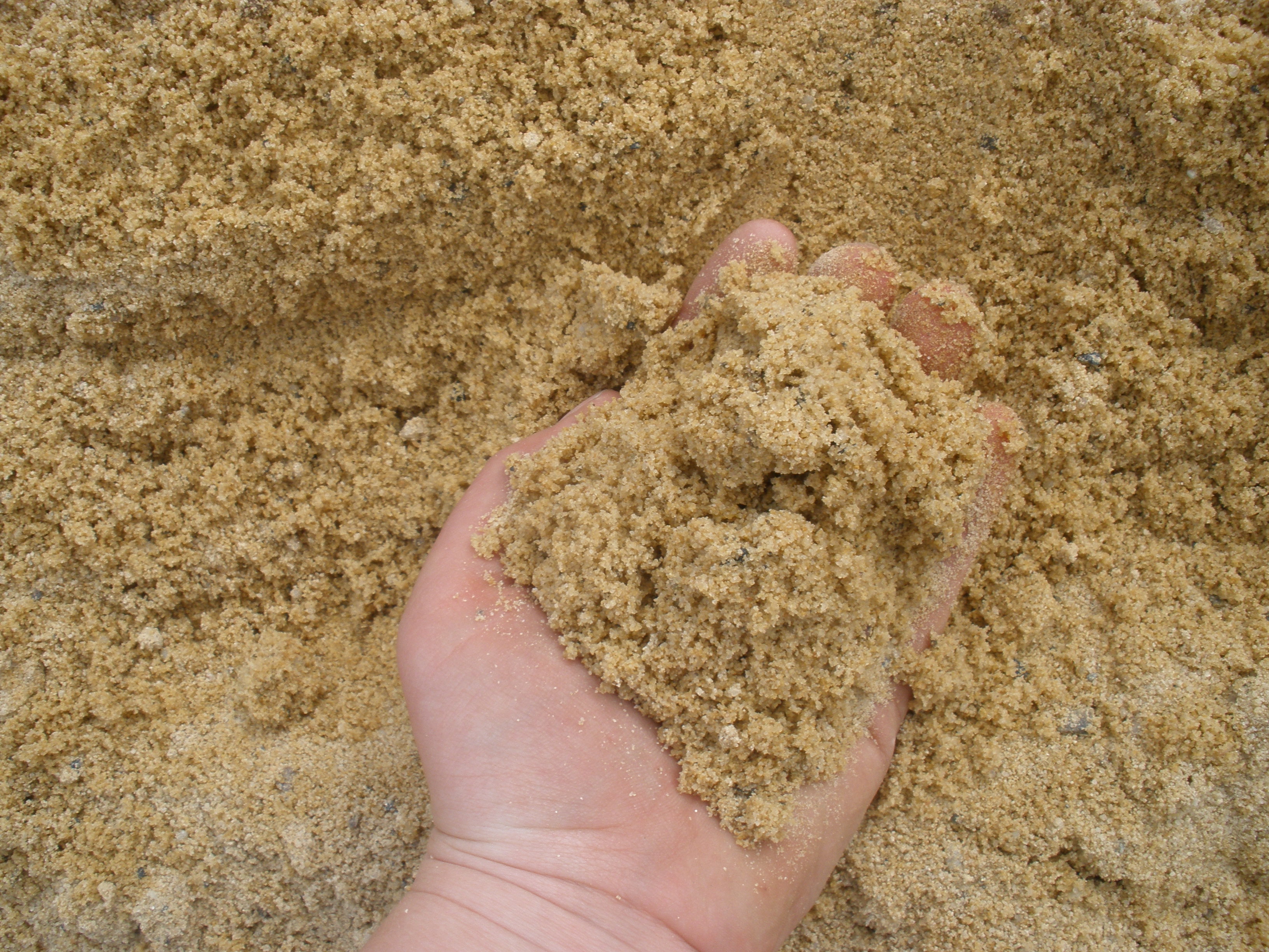 Washed River Sand.JPG