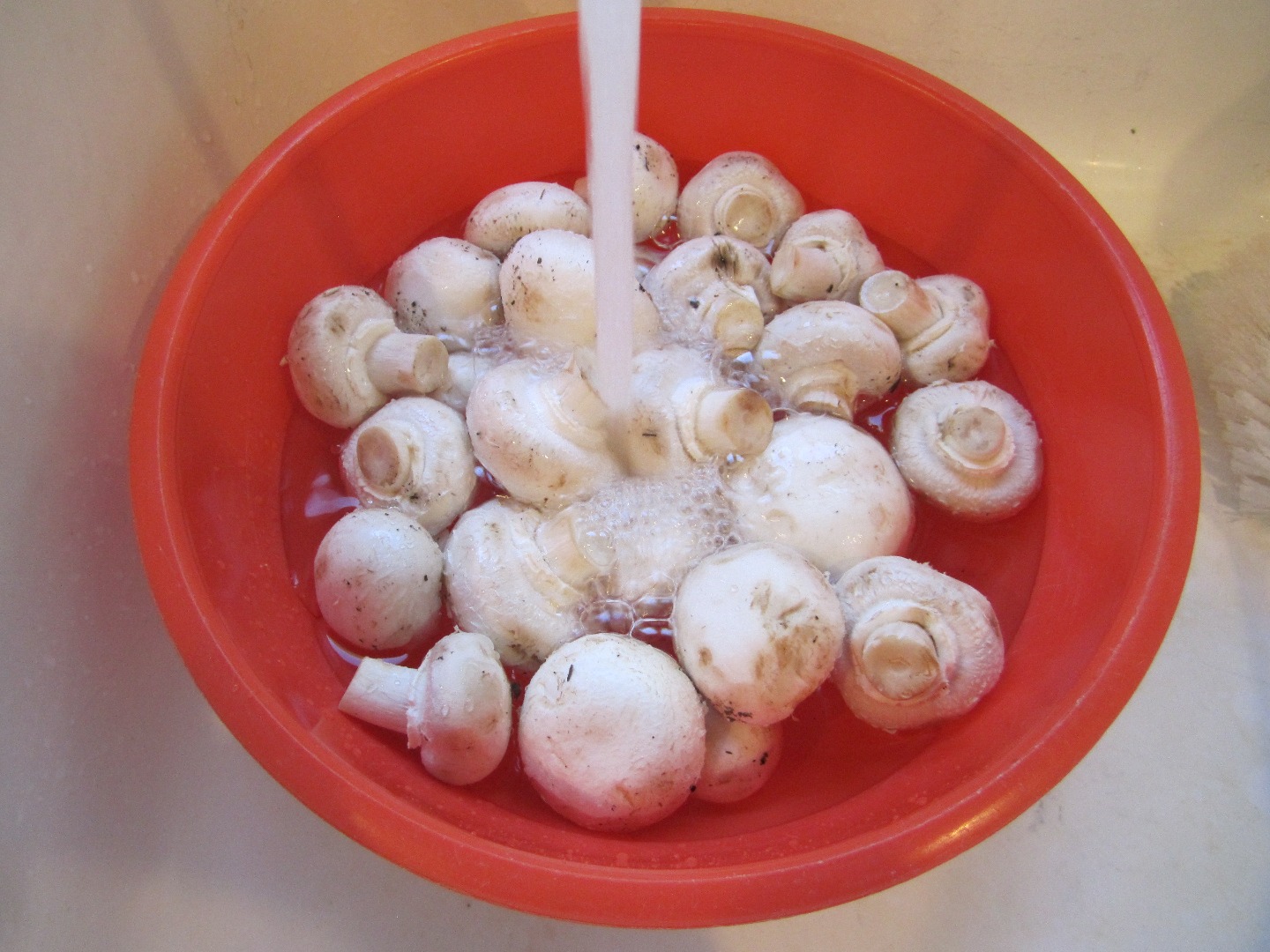 Washing Mushrooms.JPG