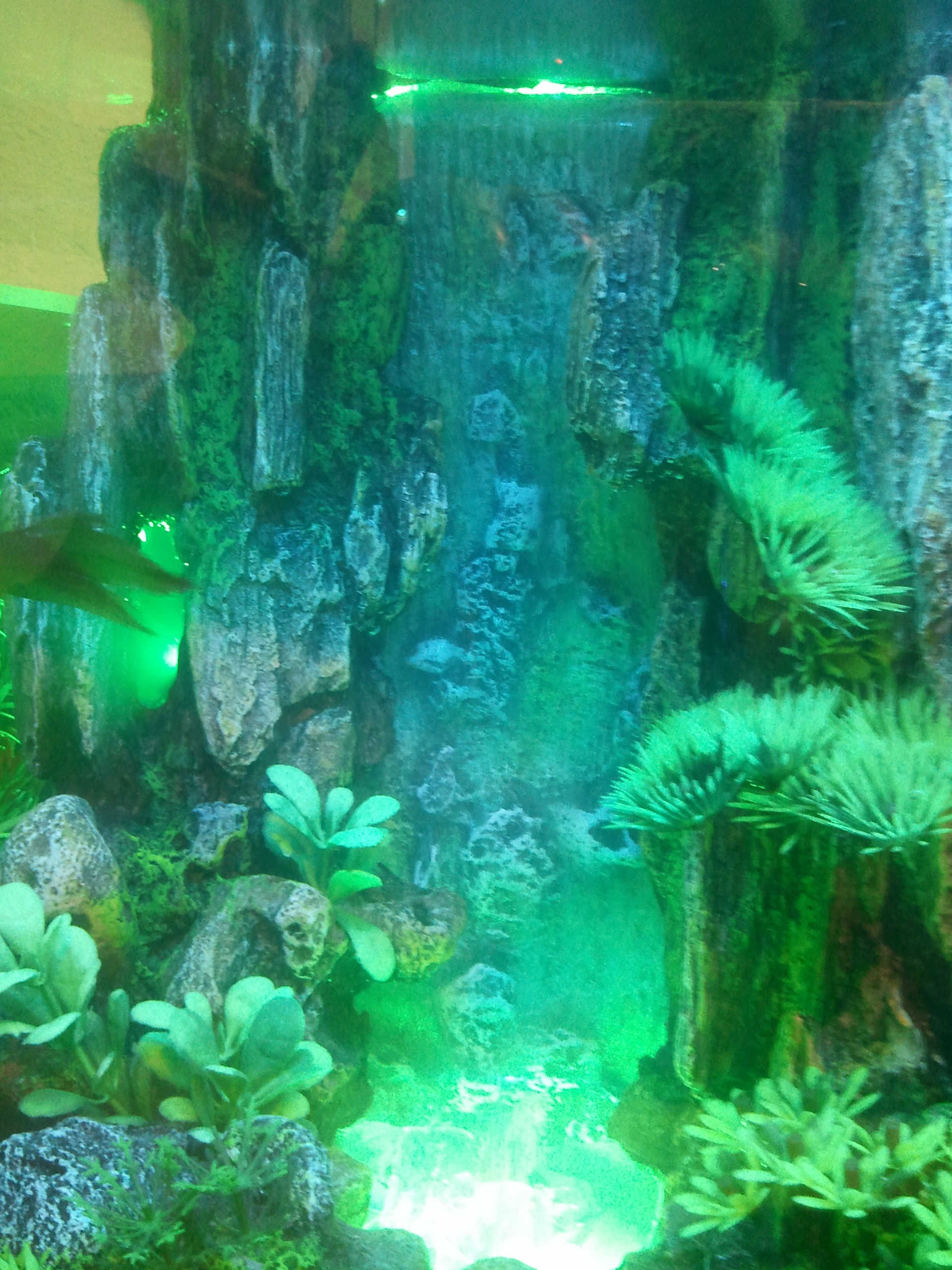 Waterfall2.jpg