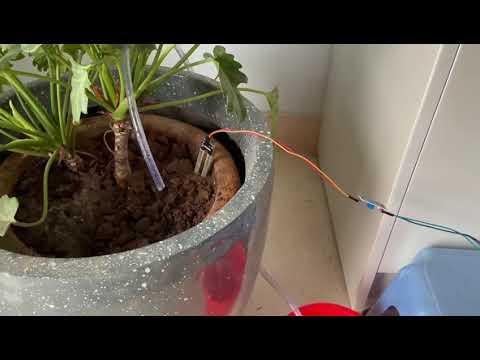 Watering Plant using Arduino