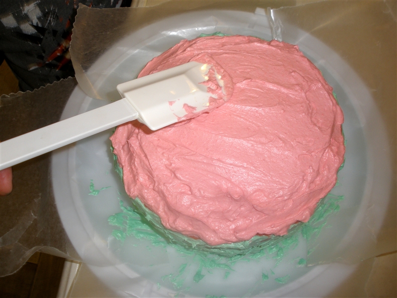 Watermelon Cake_0064.jpg