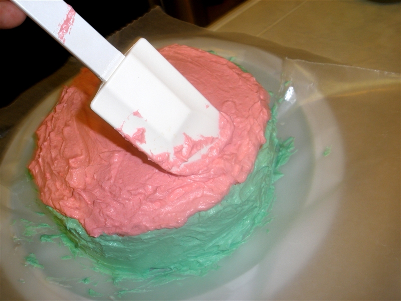 Watermelon Cake_0067.jpg