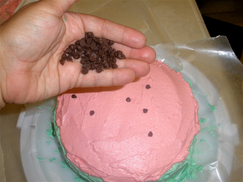 Watermelon Cake_0070.jpg