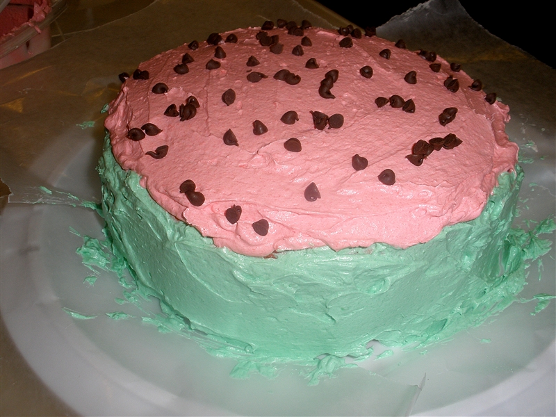 Watermelon Cake_0071.jpg