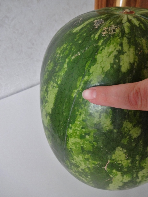 Watermelon Carving 016 (480x640).jpg