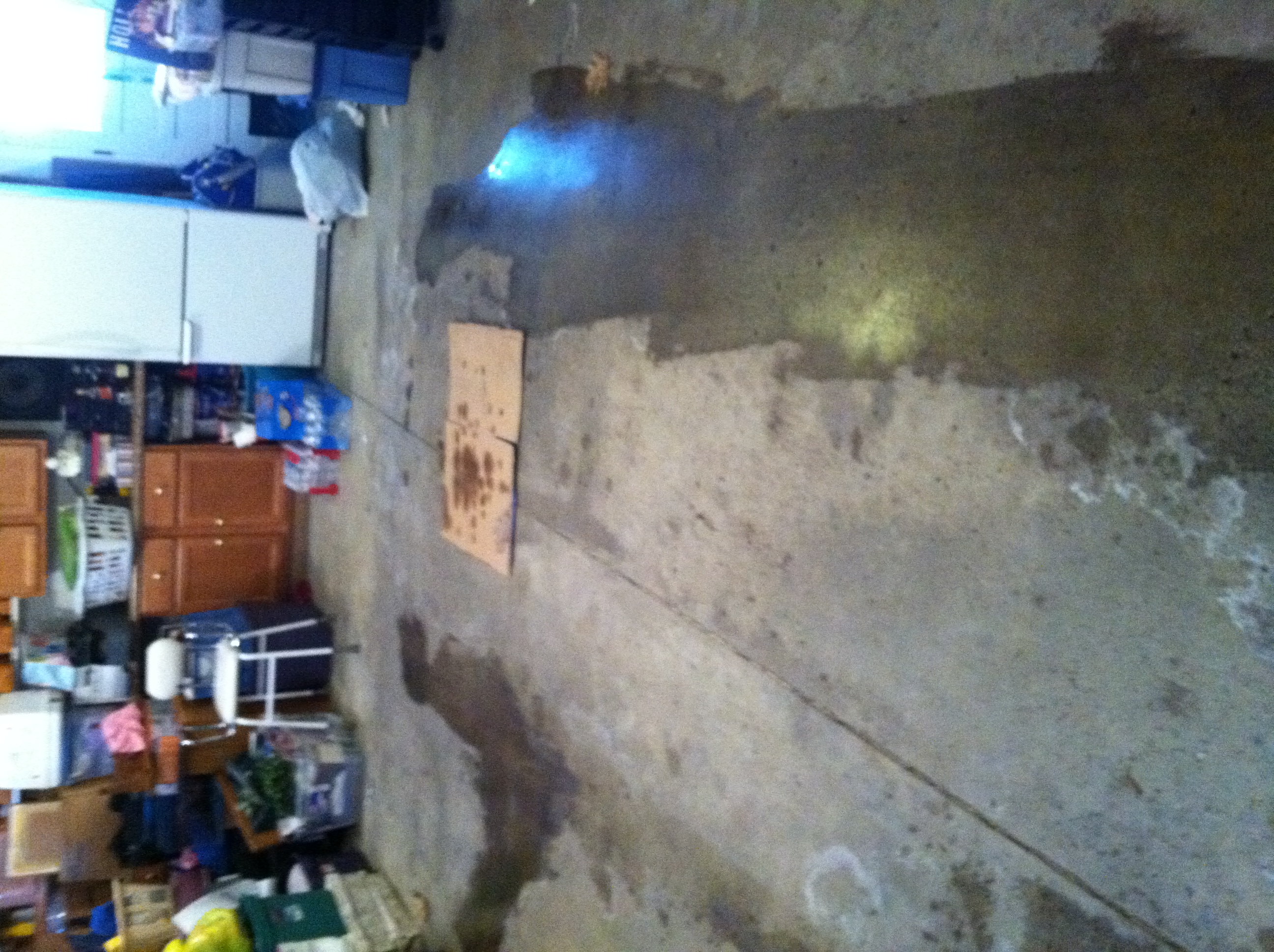 Wet Floor 2 photo.JPG