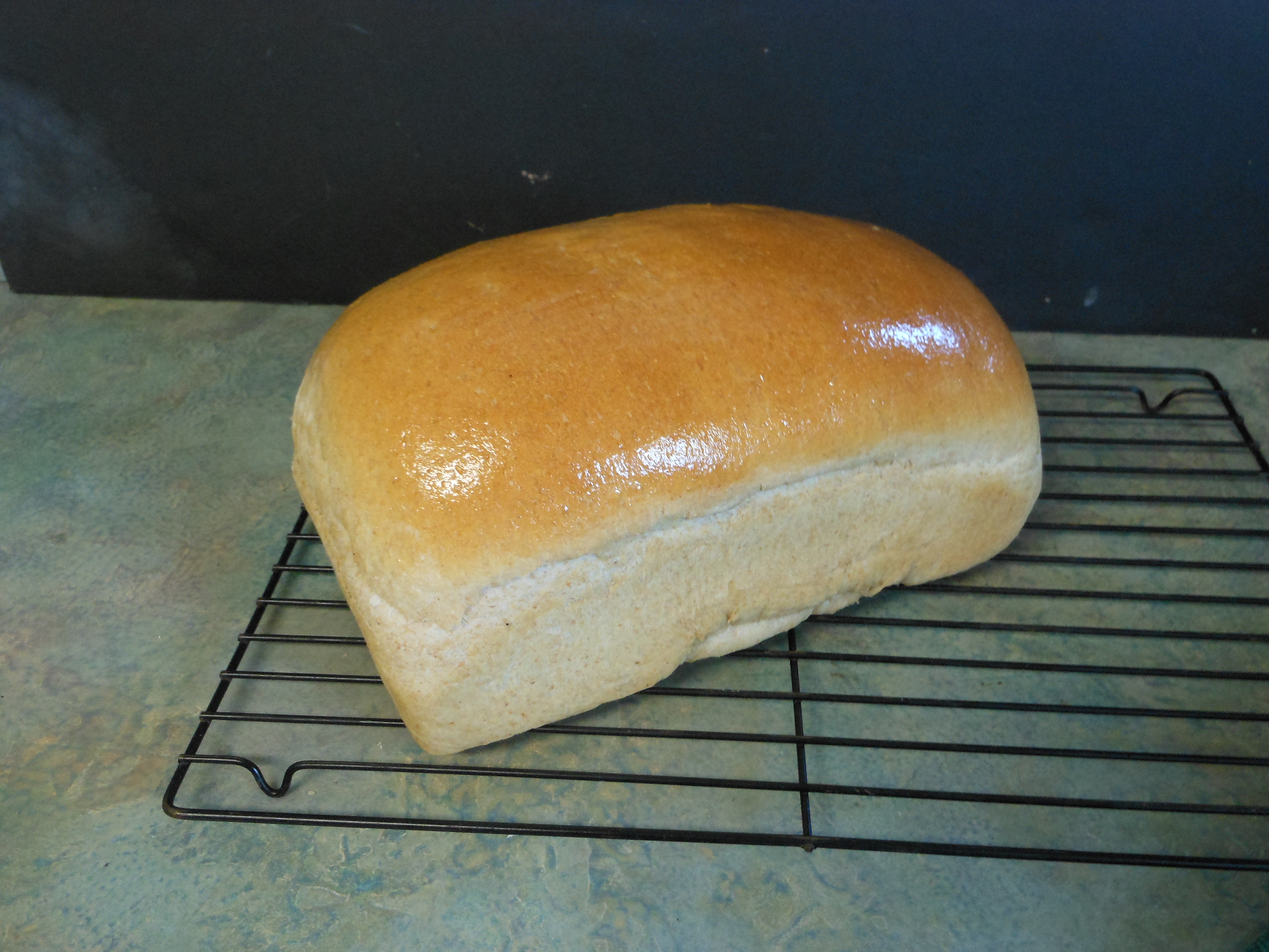 Wheat Bread 18.JPG