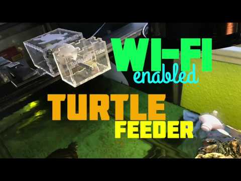 Wi-Fi Enabled Turtle Feeder