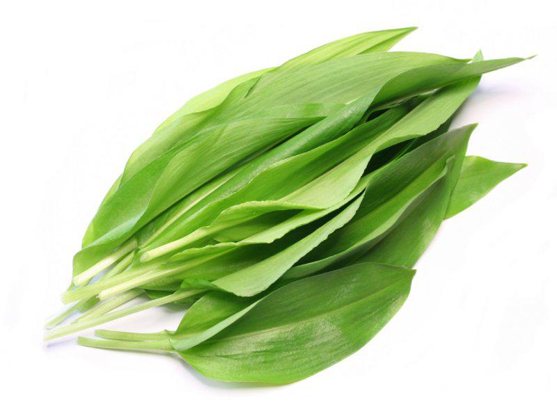 Wild Garlic.jpg