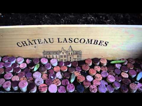 Wine Cork Garden Edging Project