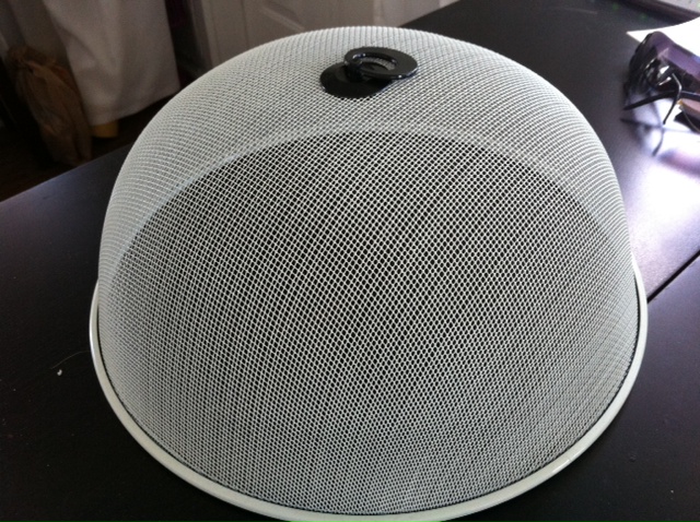 Wire Mesh Dome.JPG