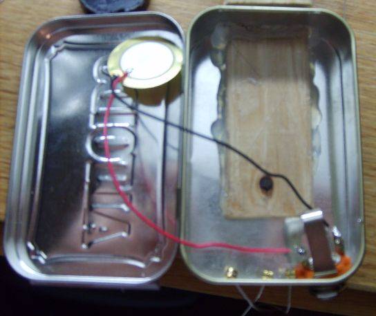 Wiring the piezo.jpg