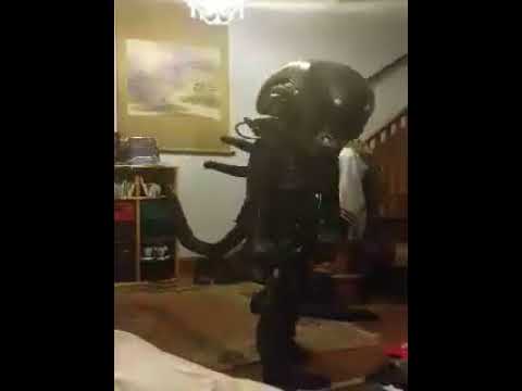 Xenomorph costume 3