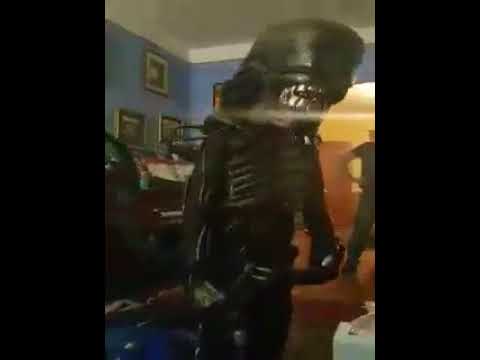 Xenomorph costume test 4