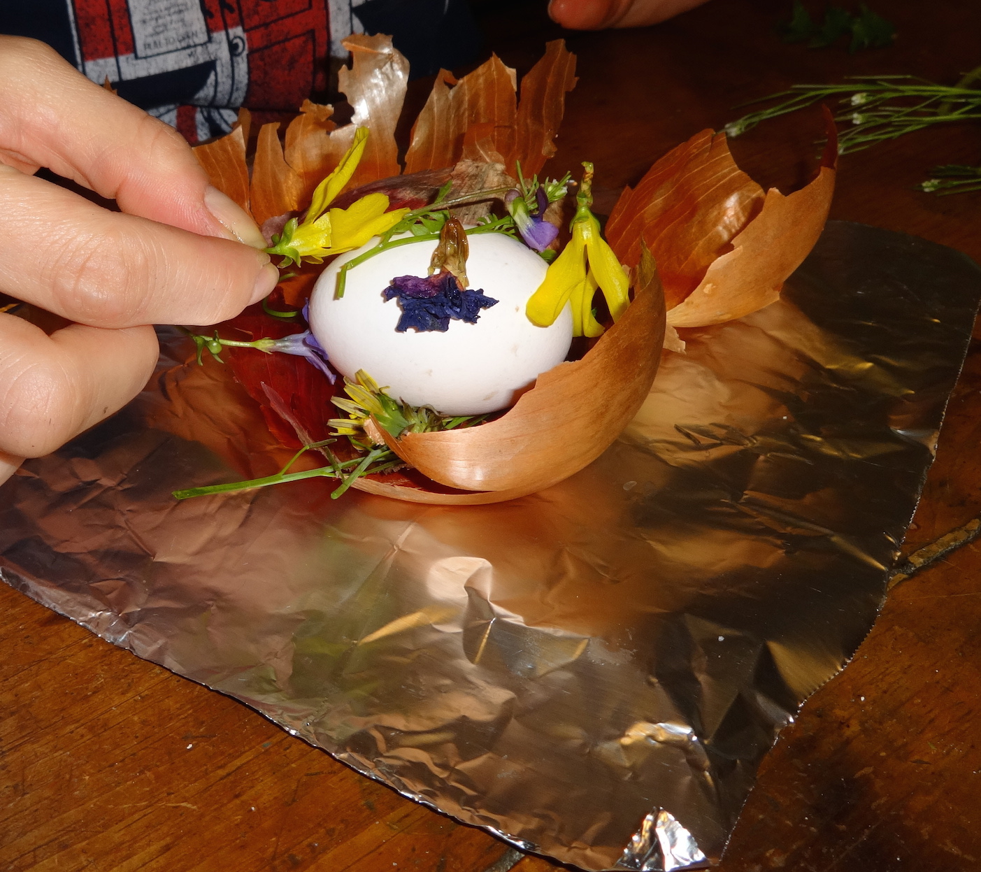 YtB Putting Flowers on Egg-Dutch Dying Eggs 4-15-14_crop_Lower res.jpeg