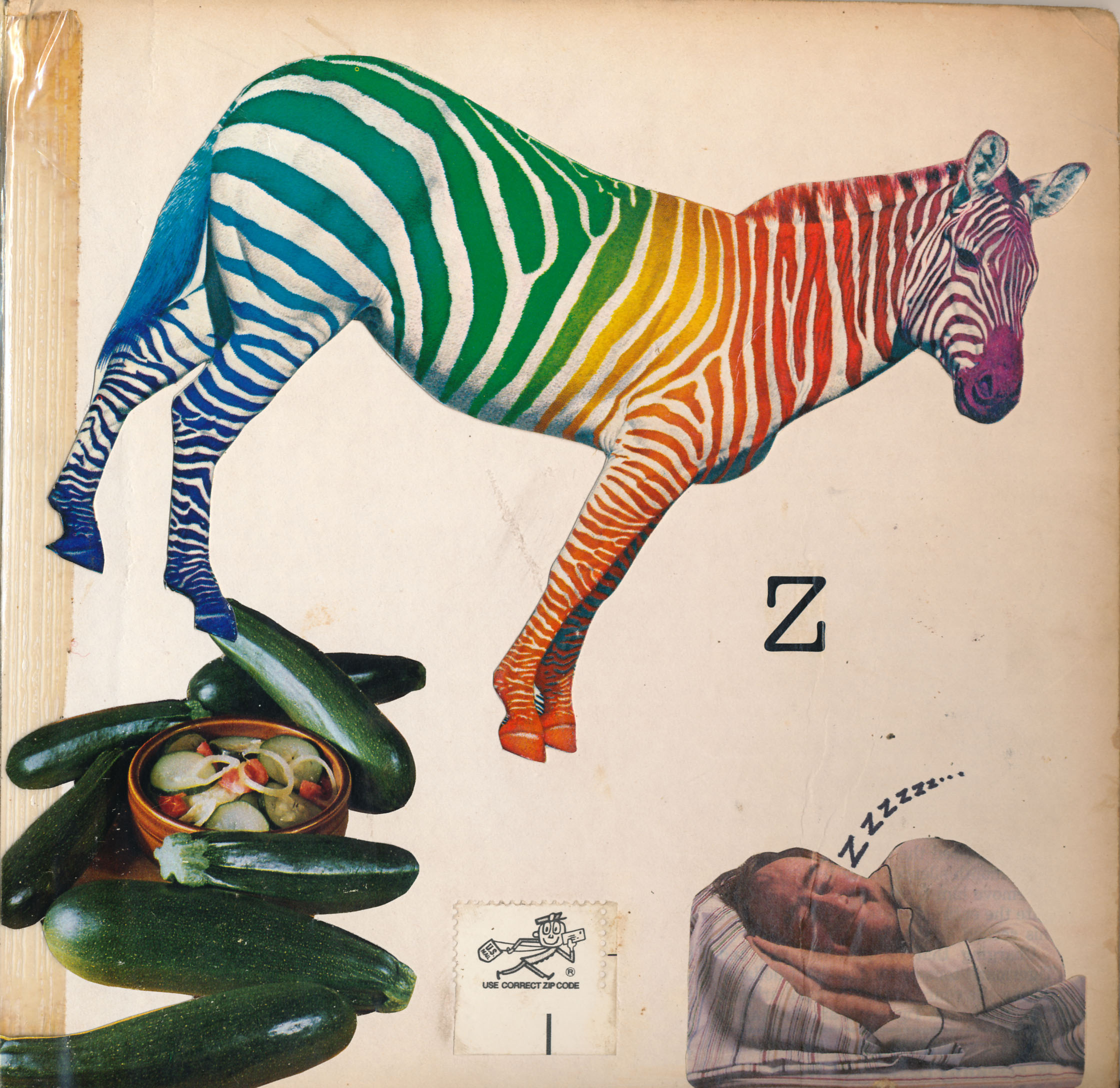 Zebra.jpg