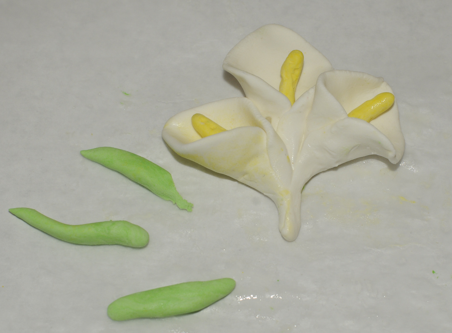_DSC0723_edited-1.JPG