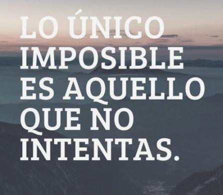 a220a478-f4ac-4f38-872c-9854ae51af97.jpg