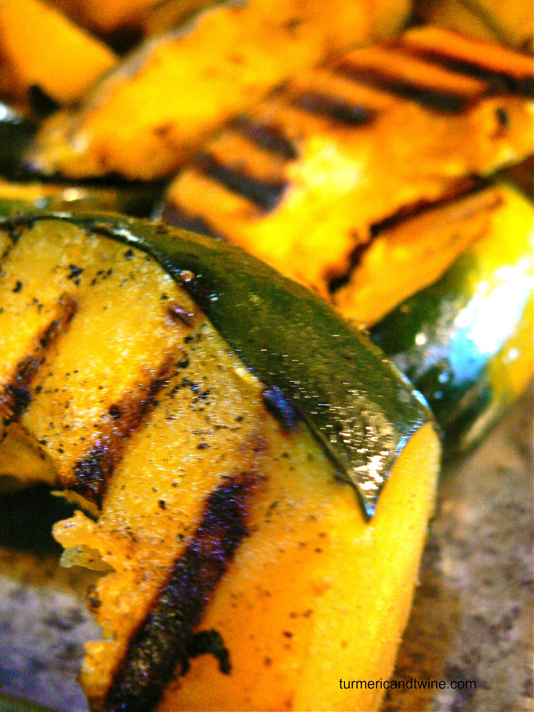 acorn squash grill.jpg