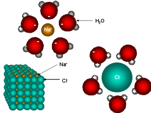 actuators_servo_waterproof_ions.gif