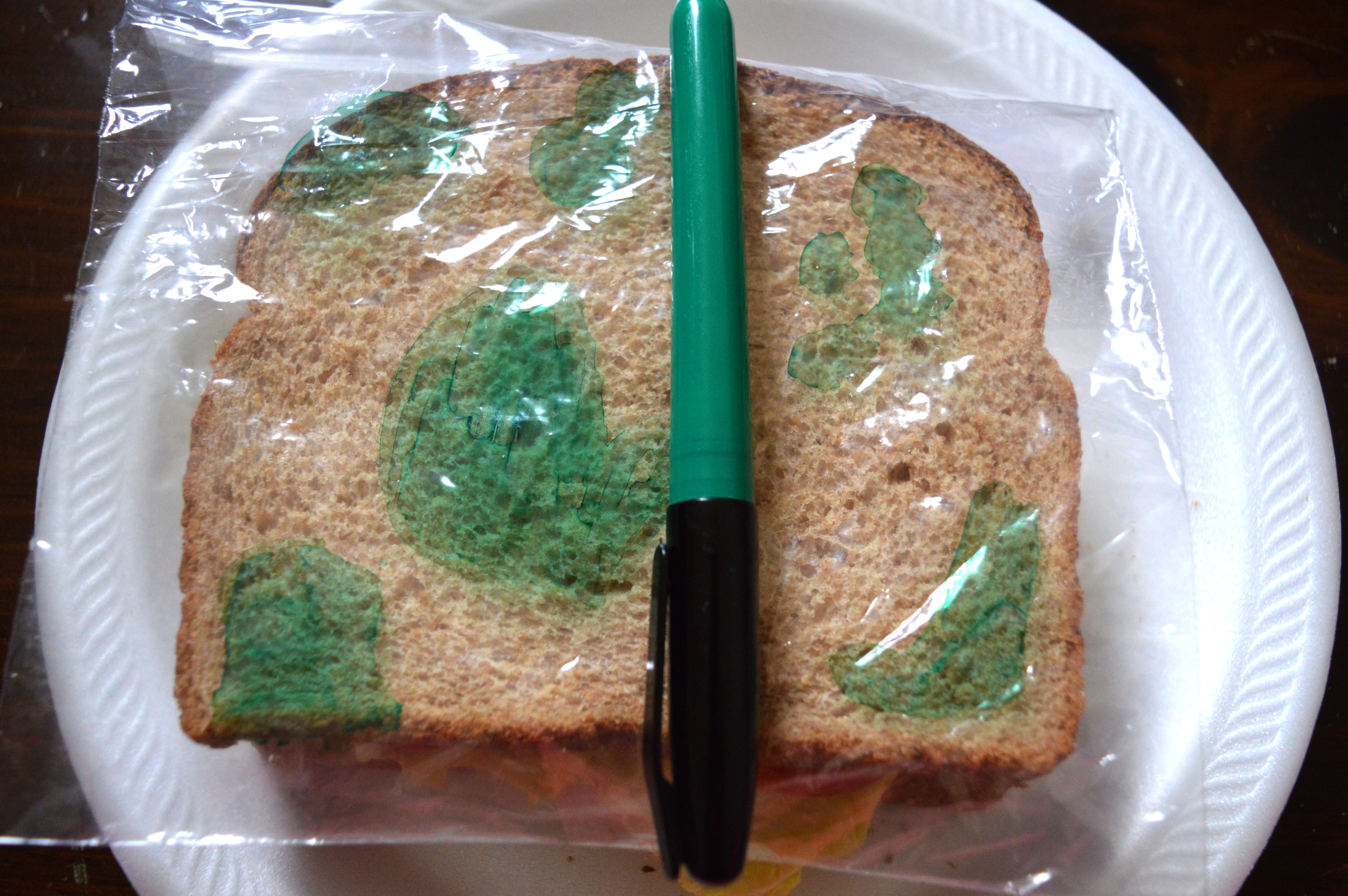 add mold.jpg