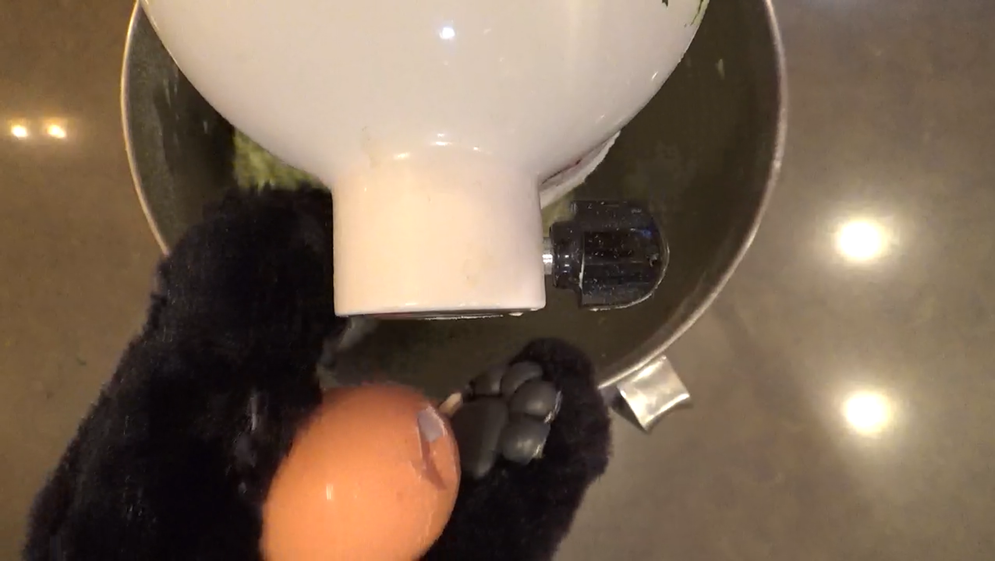 adding egg.png