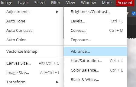 adjustvibrance.JPG