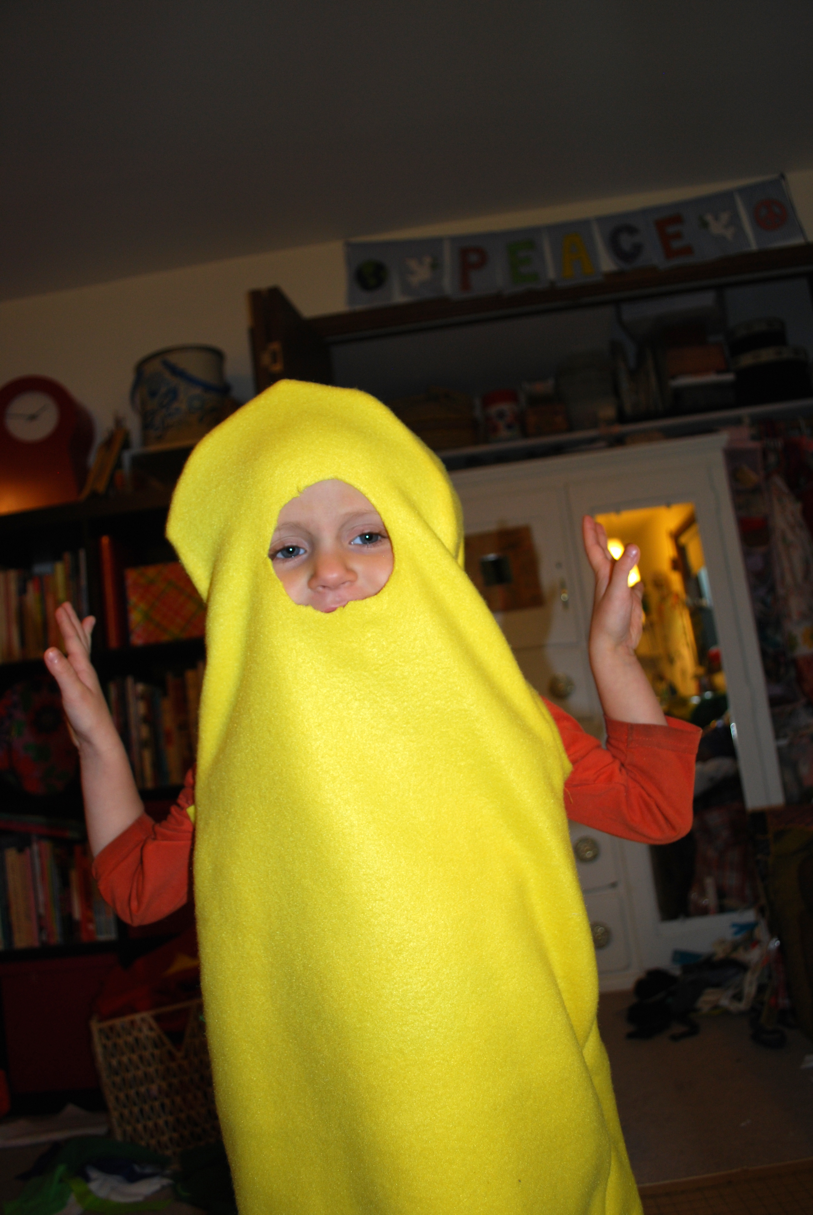 adventuretimejakecostume05.jpg