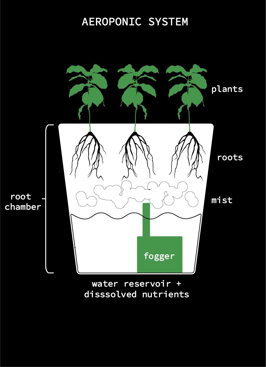 aeroponics.png