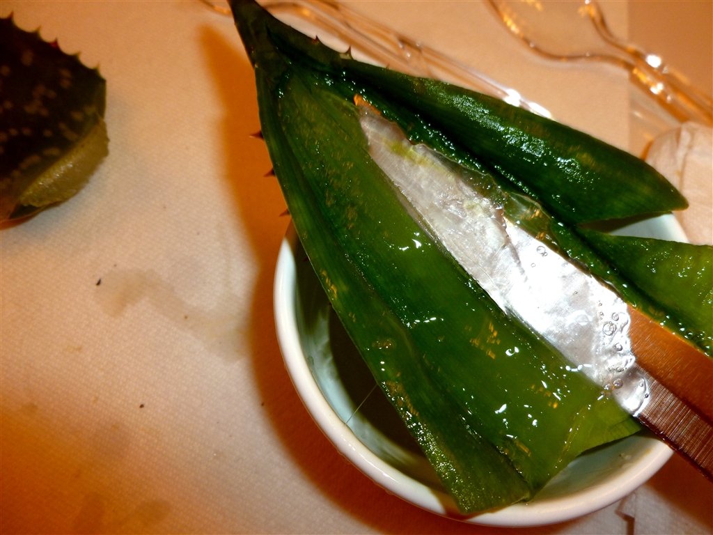 aloe gel_0018.jpg