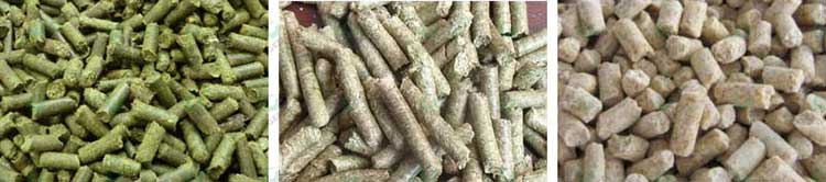 animal-feed-pellets1.jpg