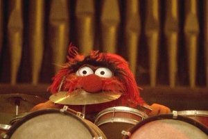 animaleatdrums.jpg