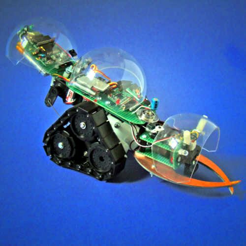 ant-robot2.jpg
