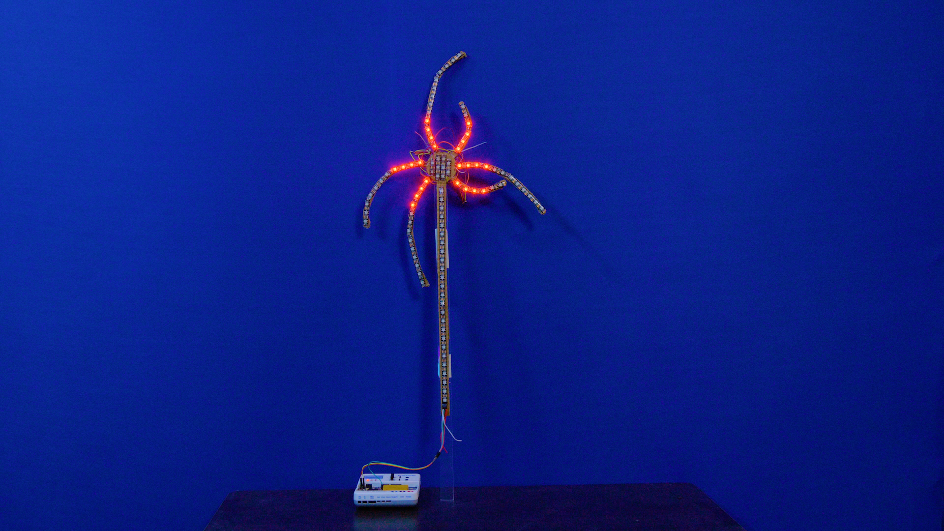 ap.00_00_17_06.Still001.jpg