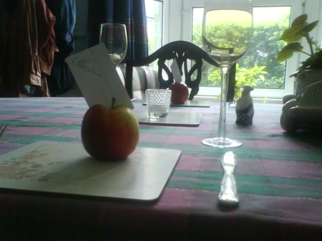 apple pictures 005.jpg