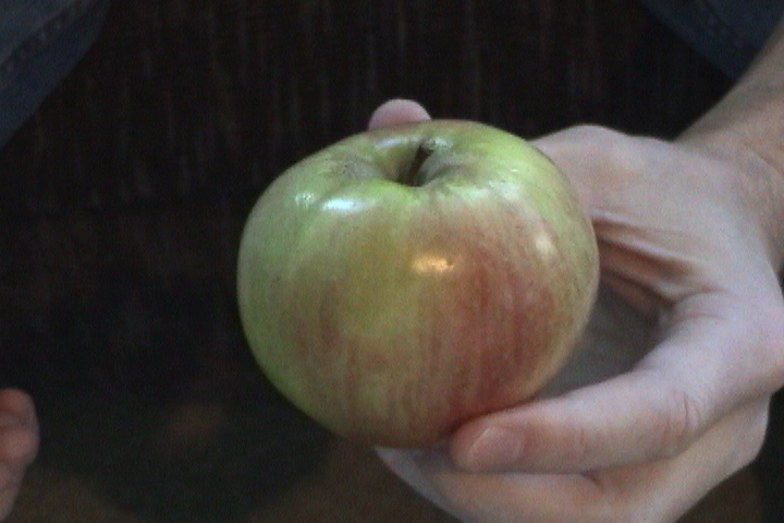 apple.bmp