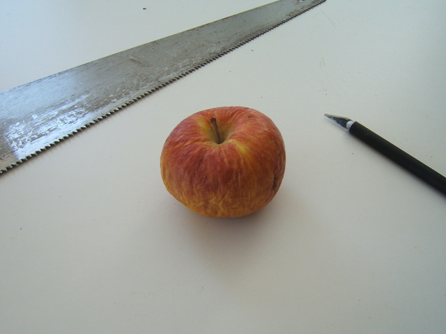 apple01.jpg